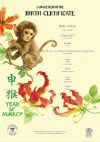 Year of the Monkey