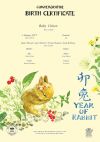 Year of the Rabbit