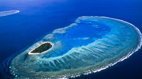 Aerial view of Lady Musgrave Island