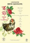 Year of the Rooster