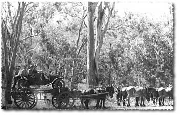 Car on the back of a horse drawn dray