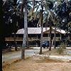 The superintendent’s residence at Aurukun, circa 1959-60