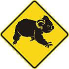 yellow diamond-shaped sign with black koala icon