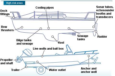 Boat drawing with labels pointing to the main risk areas described in the text.