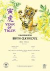 Year of the Tiger