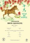 Year of the Horse