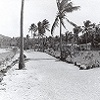 Roads and landscape on Dauan Island (date unknown)