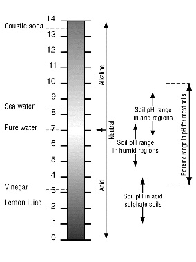 The range of pH values found in soils