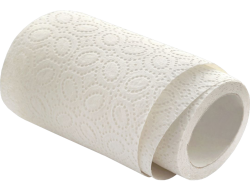 Photo of a roll of paper towel