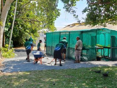 Indigenous ranger and secondary school students working on a greenhouse.