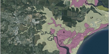 Example of an acid sulfate soil survey, illustrating mapping units S and LP described on the left.