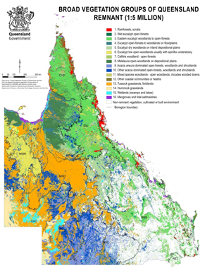 A map of Queensland\'s regional ecosystems and remnant vegetation