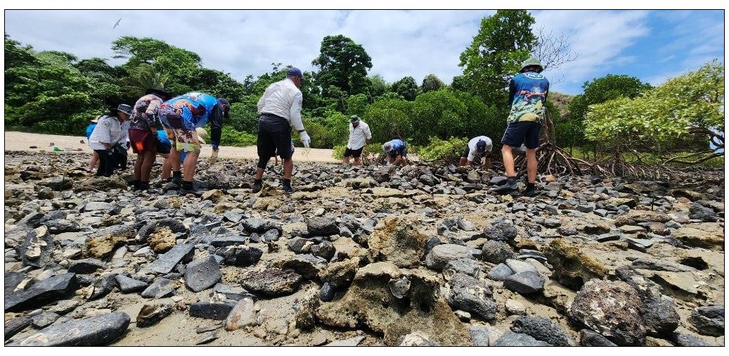 A group of people in a circle moving rocks back to a low rock wall on a rocky shore