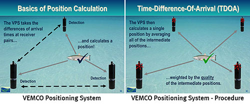 Diagrams of the VEMCO positioning system (VPS) and procedure.