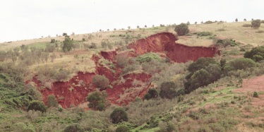 Example of mass movement landslip on a steep slope near Coolangatta, Queensland