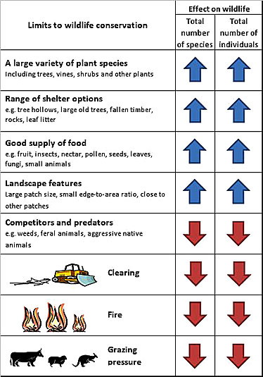 A table summarising limits to wildlife conservation for rainforest.