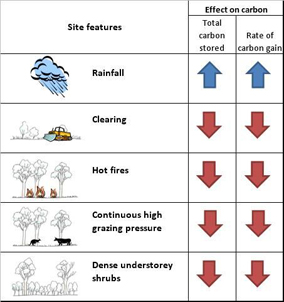 Summary of limits to carbon accumulation for eucalypt open-forests