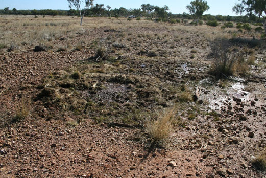 Same spring in July 2011 after damage by a wild pig