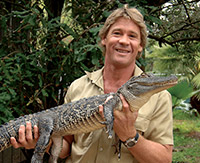 Steve Irwin