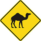 yellow diamond-shaped sign with black camel icon