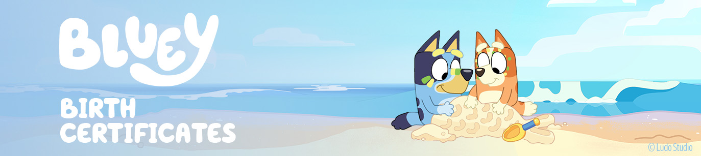 Bluey banner