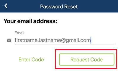 Screen to request a code for a password reset