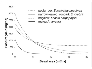 Relationships between tree basal area and pasture yield for a range of woodland and forest types from sites in Queensland. Wet sclerophyll forests would be expected to follow a similar pattern with rapid decline in pasture production as tree basal area increases