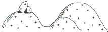 Diagram of land zone 12, hills and lowlands on granitic rocks