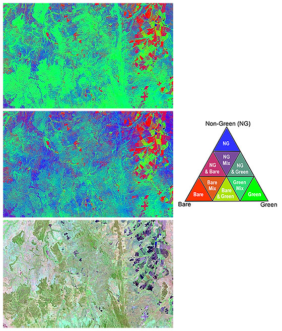 Image examples of a seasonal fractional cover image and seasonal fractional ground cover image