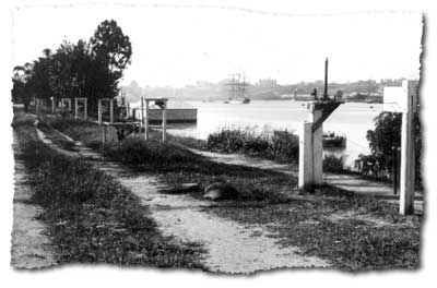 Base line comparator in the Brisbane Botanic Gardens in 1899