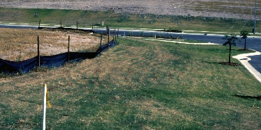 Use of a sediment fence and grassed strips on a development near Sinnamon Park, Brisbane