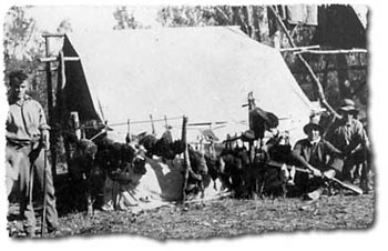 Scrub turkey snared in the Dawson Valley circa 1928