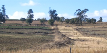 Well-maintained contour banks (left) and grassed waterways (right)