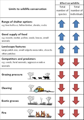 A summary of limits to wildlife conservation for mulga