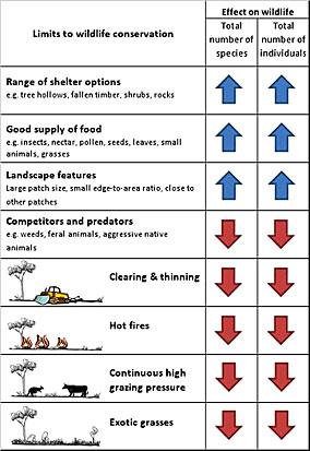 A graphic showing the summary of limits to wildlife conservation for eucalypt woodlands.