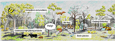 An illustration of threats to wildlife