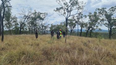 Rangers in a grassy area surrounded by tall trees assessing landscape.