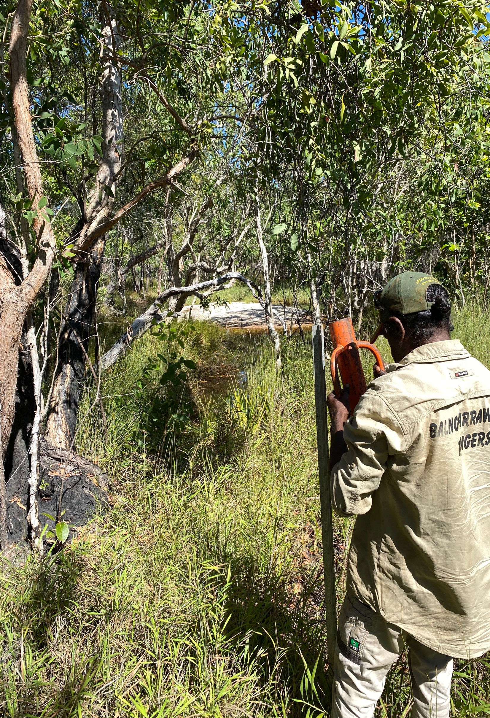 Ranger installing star picket at edge of lagoon