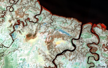 Satellite image