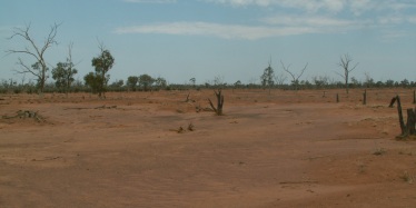 Scalded landscape, western Queensland