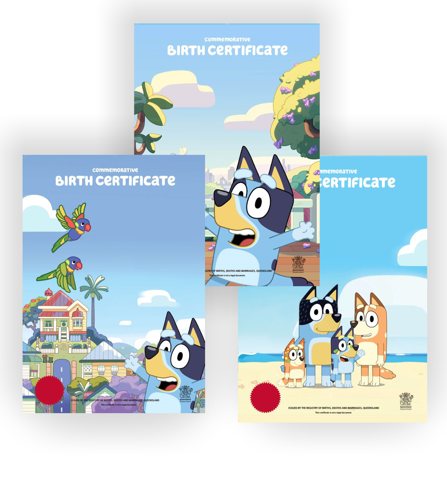 Bluey certificates