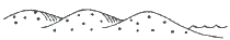 Diagram of land zone 2, coastal dunes.
