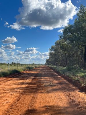 Dirt road along the fenceline of Powrunna State Forest.