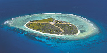 Lady Elliot Island